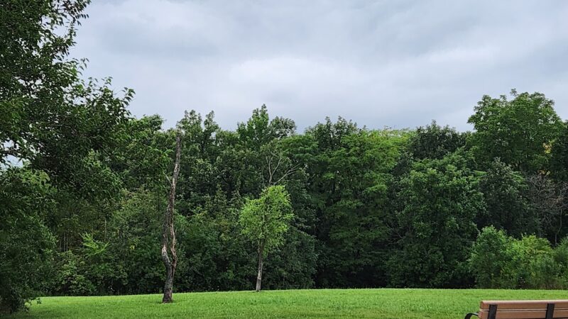 Bremen Grove Dog Park (membership required) - Tinley Park, IL