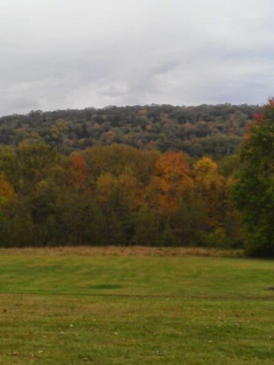 Damsite Rec Area - Tionesta, PA