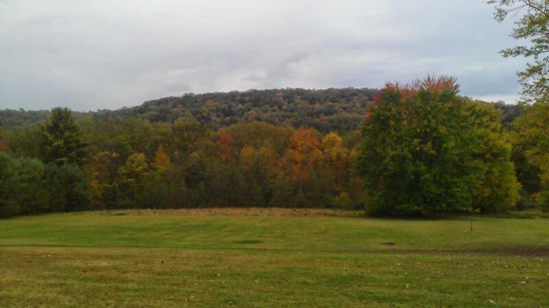 Damsite Rec Area - Tionesta, PA