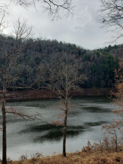 Damsite Rec Area - Tionesta, PA