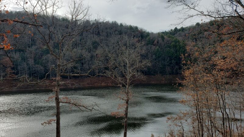 Damsite Rec Area - Tionesta, PA