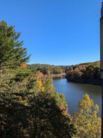 Damsite Rec Area - Tionesta, PA