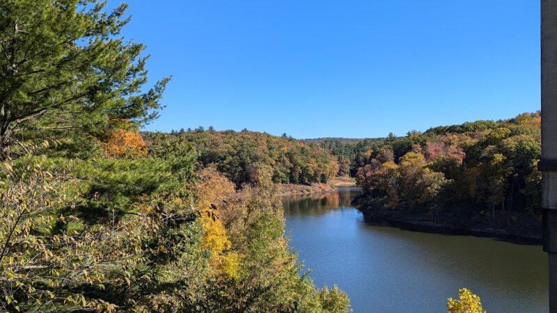 Damsite Rec Area - Tionesta, PA