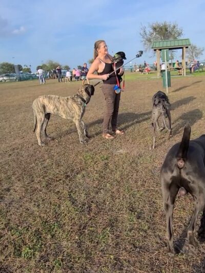 Brevard County Marina Dog Park - Titusville, FL