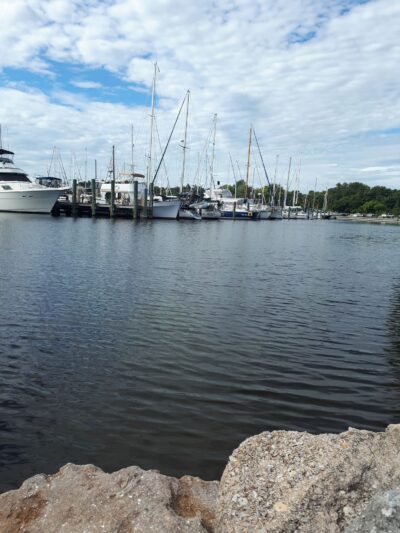 Brevard County Marina Dog Park - Titusville, FL