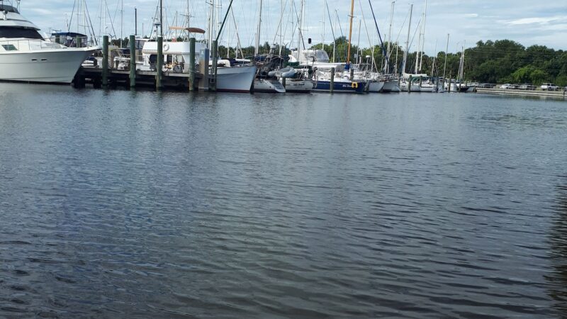 Brevard County Marina Dog Park - Titusville, FL