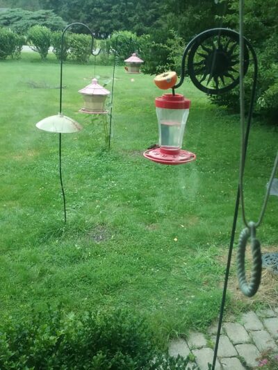 Hydetown Court - Titusville, PA