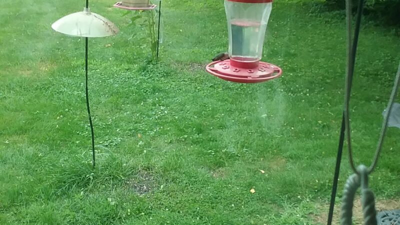 Hydetown Court - Titusville, PA