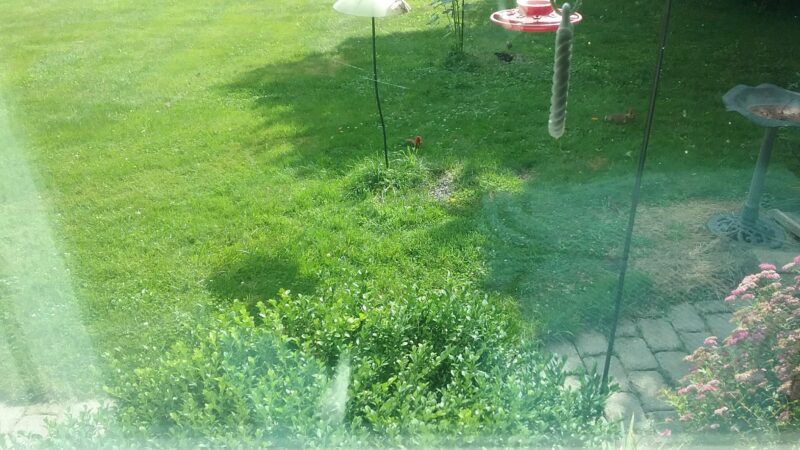 Hydetown Court - Titusville, PA