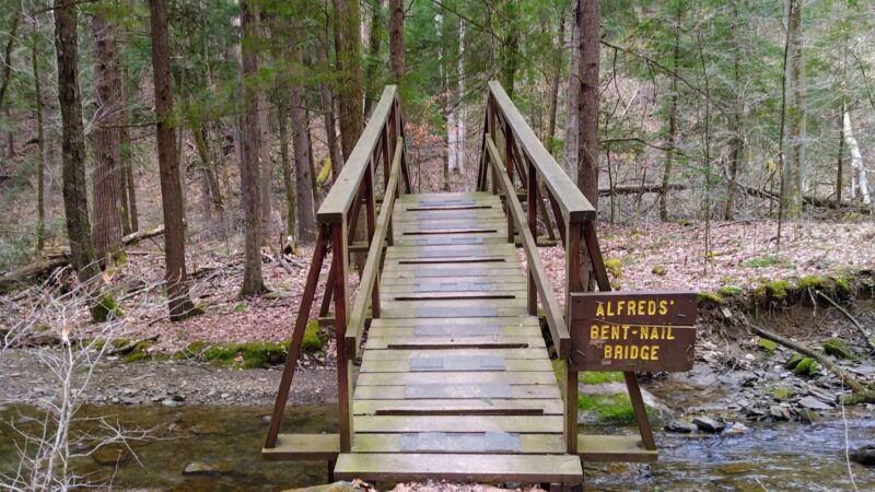 Wolfkiel Run Shelters - Titusville, PA