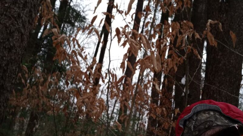 Coolbaugh Township Municipal Park - Tobyhanna, PA