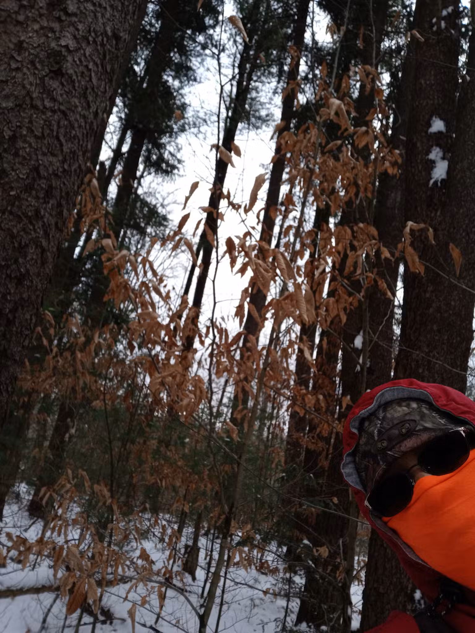 Coolbaugh Township Municipal Park - Tobyhanna, PA