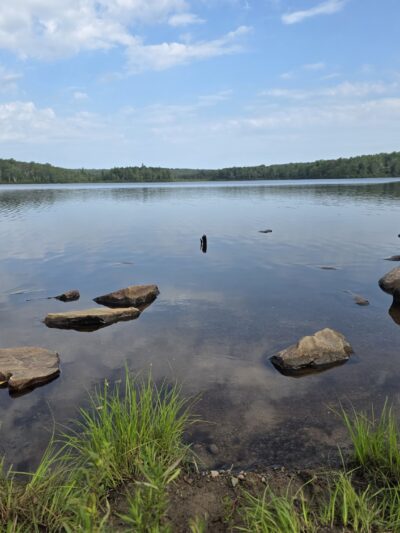 Tobyhanna SP Boat Launch Site - Tobyhanna, PA