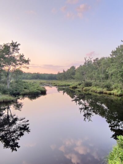 Tobyhanna State Park - Tobyhanna, PA