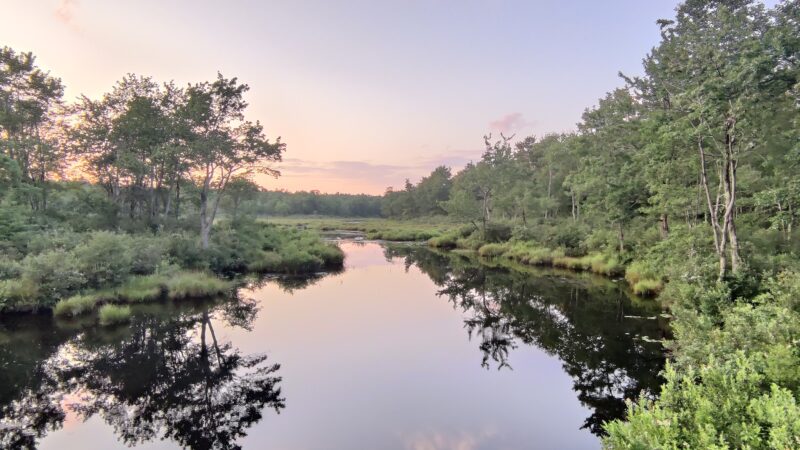 Tobyhanna State Park - Tobyhanna, PA