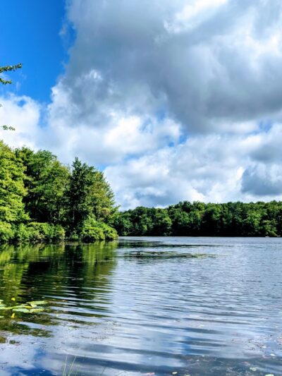 Tobyhanna State Park - Tobyhanna, PA