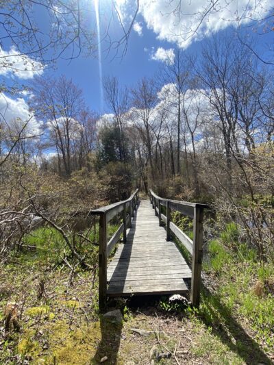Tobyhanna State Park - Tobyhanna, PA
