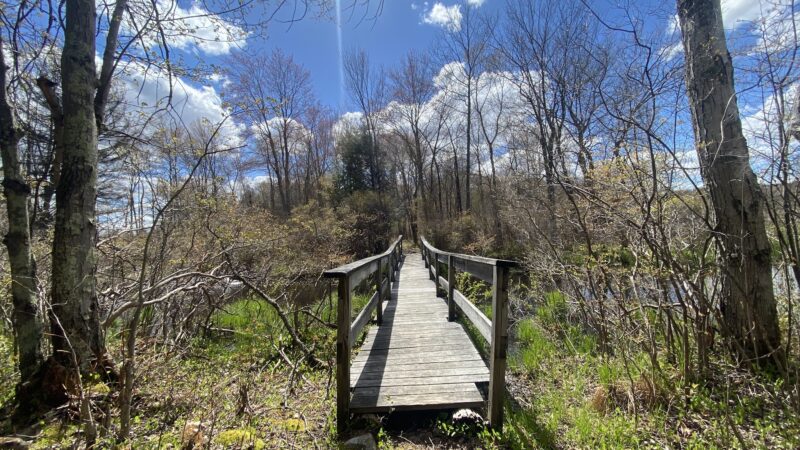 Tobyhanna State Park - Tobyhanna, PA