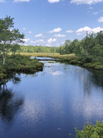 Tobyhanna State Park - Tobyhanna, PA