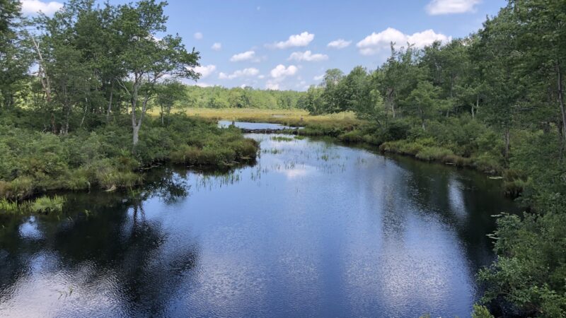 Tobyhanna State Park - Tobyhanna, PA