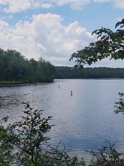 Tobyhanna State Park - Tobyhanna, PA