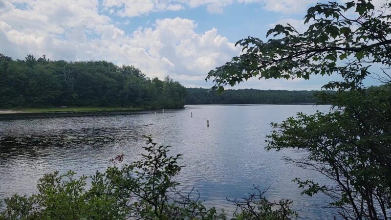 Tobyhanna State Park - Tobyhanna, PA