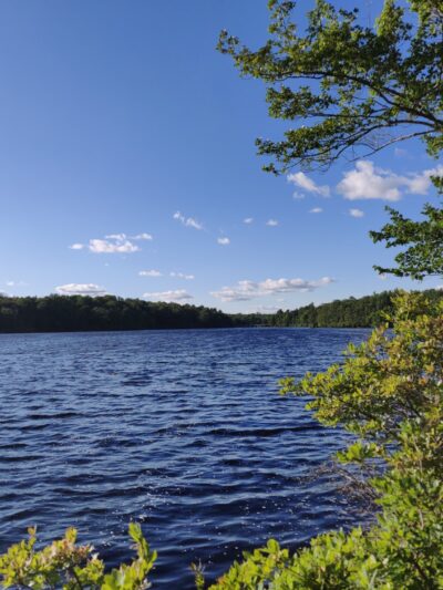 Tobyhanna State Park - Tobyhanna, PA
