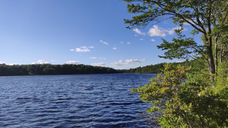 Tobyhanna State Park - Tobyhanna, PA