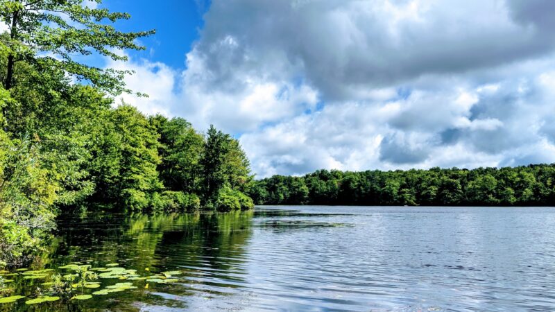 Tobyhanna State Park - Tobyhanna, PA