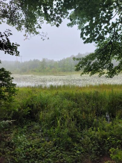 Wiley Preserve - Tobyhanna, PA