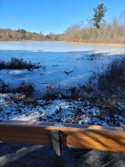 Wiley Preserve - Tobyhanna, PA