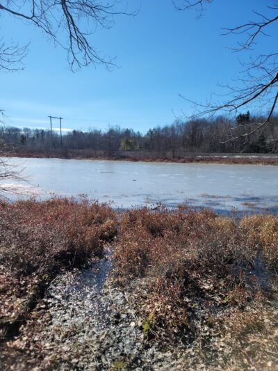 Wiley Preserve - Tobyhanna, PA