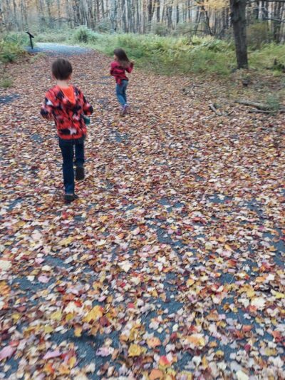 Wiley Preserve - Tobyhanna, PA