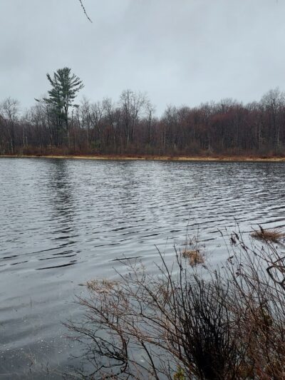 Wiley Preserve - Tobyhanna, PA