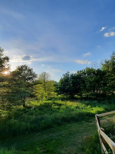 Todd Island Park - Todd, NC