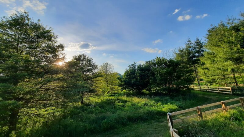 Todd Island Park - Todd, NC
