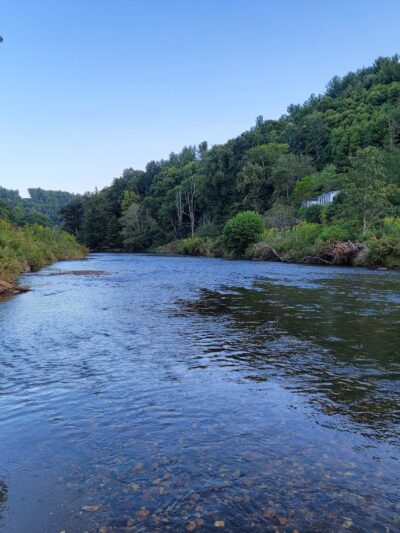 Todd Island Park - Todd, NC