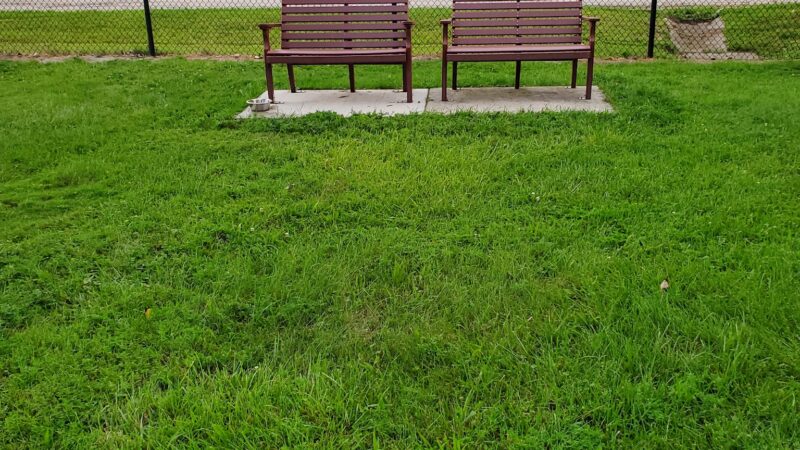 Glass City Dog Park (Membership Required) - Toledo, OH