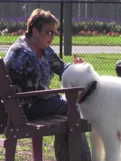 Glass City Dog Park (Membership Required) - Toledo, OH