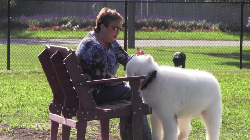 Glass City Dog Park (Membership Required) - Toledo, OH