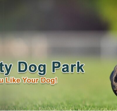 Glass City Dog Park (Membership Required) - Toledo, OH