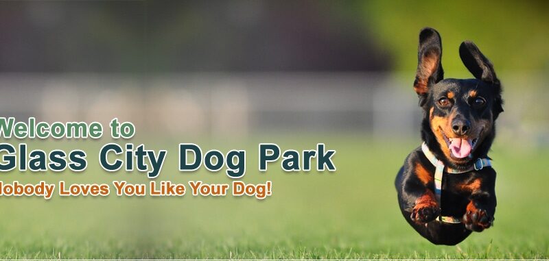 Glass City Dog Park (Membership Required) - Toledo, OH