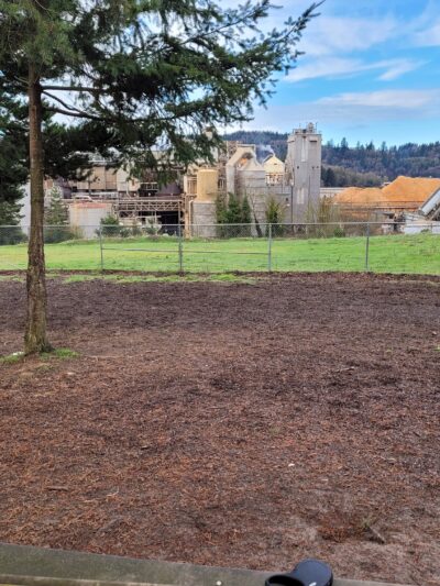 Julie Rockwell Memorial Dog Park - Toledo, OR