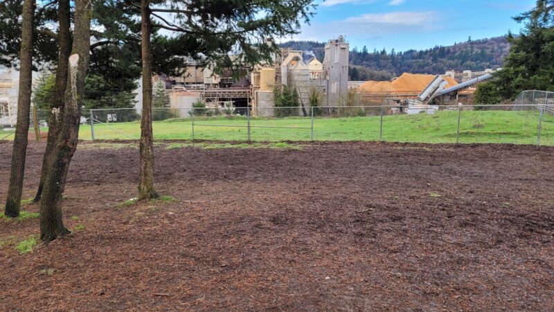 Julie Rockwell Memorial Dog Park - Toledo, OR