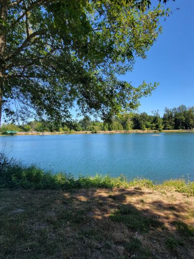 South County Park Wallace Pond Toledo - Toledo, WA
