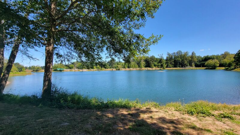 South County Park Wallace Pond Toledo - Toledo, WA