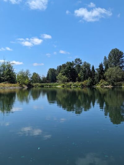 South County Park Wallace Pond Toledo - Toledo, WA