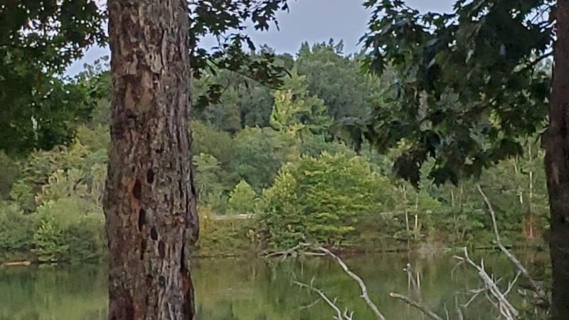 Tompkinsville City Park - Tompkinsville, KY