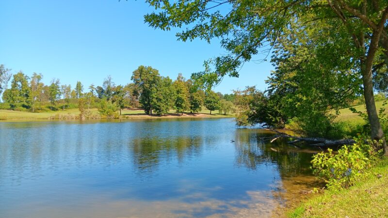 Tompkinsville City Park - Tompkinsville, KY