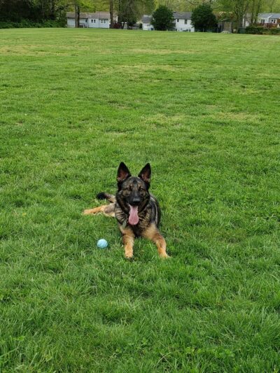 Deer Hollow Park - Toms River, NJ